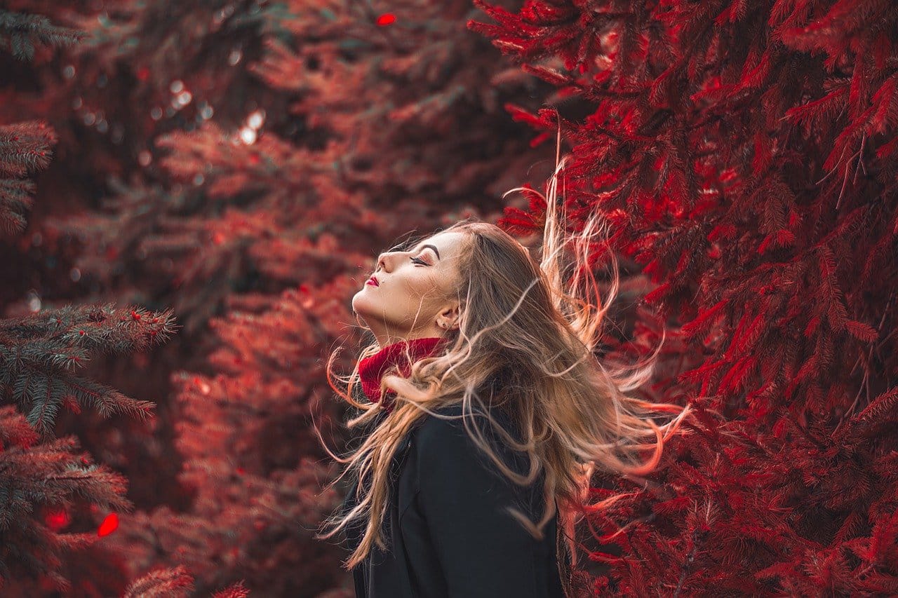 Read more about the article Best Conditioner – Plant-Based For Hair